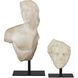 Young Royal Greek Torso 18 X 10.5 inch Sculpture