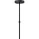 Denison 1 Light 18 inch Black/Frosted White Outdoor Lantern Pendant, Medium