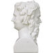 Hector 21.5 X 11 inch Bust Sculpture