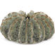 Sunken Boat 13.25 X 6.75 inch Wings Vase