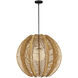 Barbary 1 Light 33.25 inch Black Outdoor Pendant