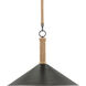 Ocracoke 1 Light 20 inch Sugar White/Blacksmith/Natural Rope Pendant Ceiling Light
