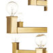 Andre 36 Light 38 inch Brass Chandelier Ceiling Light, Large