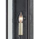 Giatti 1 Light 23.75 inch Midnight Outdoor Wall Sconce, Small