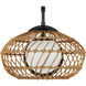 Carriage 1 Light 12 inch Black Outdoor Wall Sconce