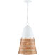 Arundo 1 Light 13.75 inch Gesso White/Natural Rattan Pendant Ceiling Light