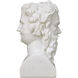 Hector 21.5 X 11 inch Bust Sculpture