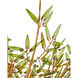 Babylon 8 Light 44 inch Green/Contemporary Gold Leaf/Contemporary Gold Chandelier Ceiling Light