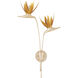 Paradiso Wall Sconce Wall Light, Left