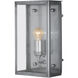 Royster 1 Light 13.75 inch Antique Silver/Clear Outdoor Wall Sconce
